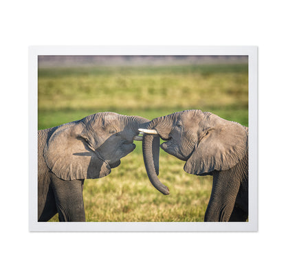 Trunk To Trunk