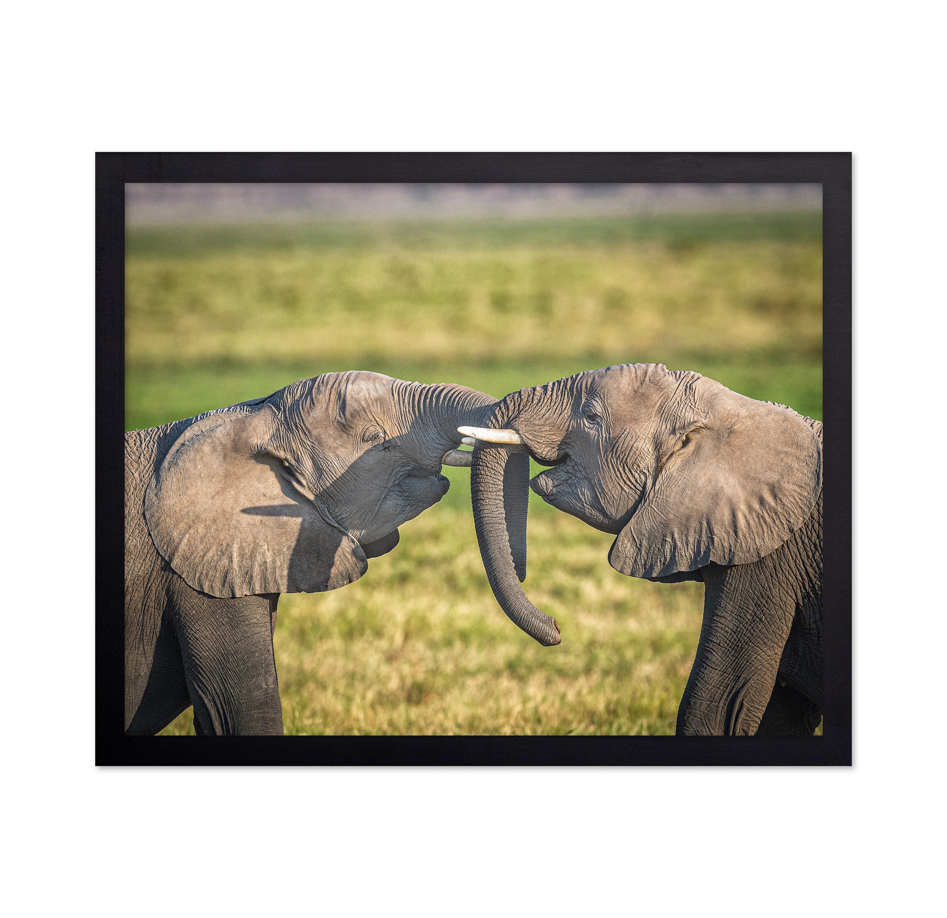 Trunk To Trunk