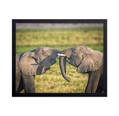 Trunk To Trunk