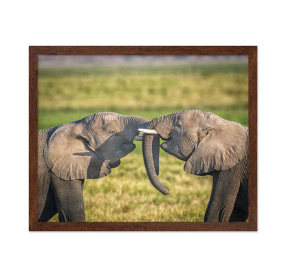 Trunk To Trunk