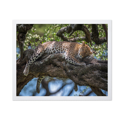 Sleep In The Sunlight