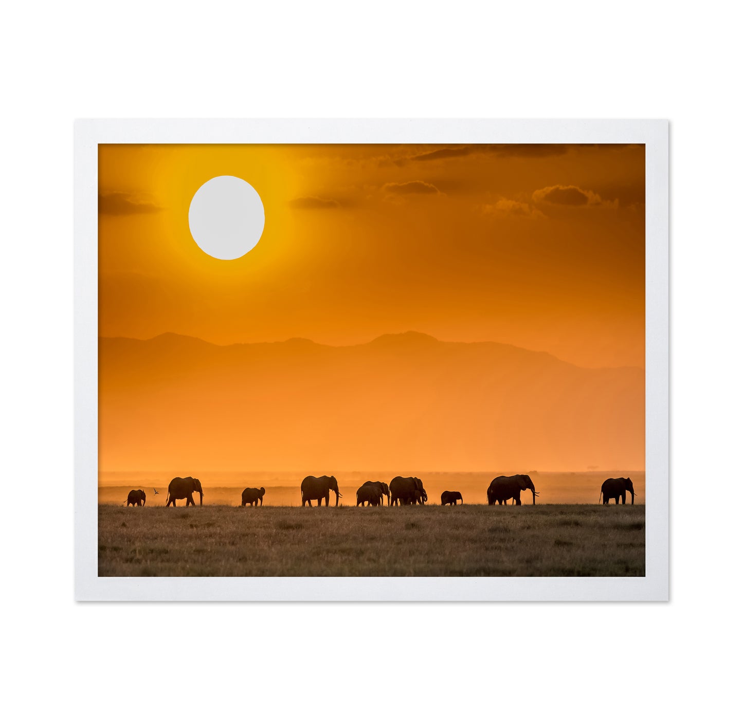 Sunrise Over Amboseli