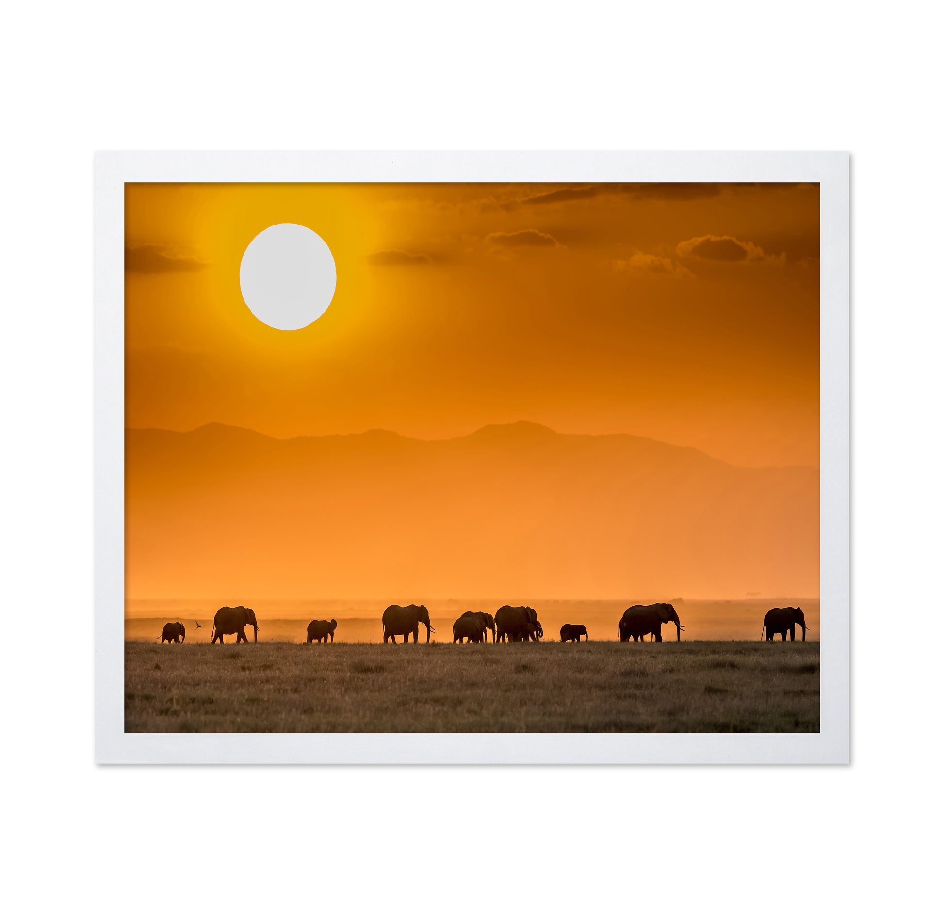 Sunrise Over Amboseli