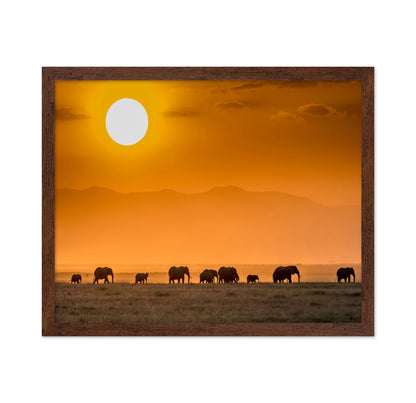 Sunrise Over Amboseli