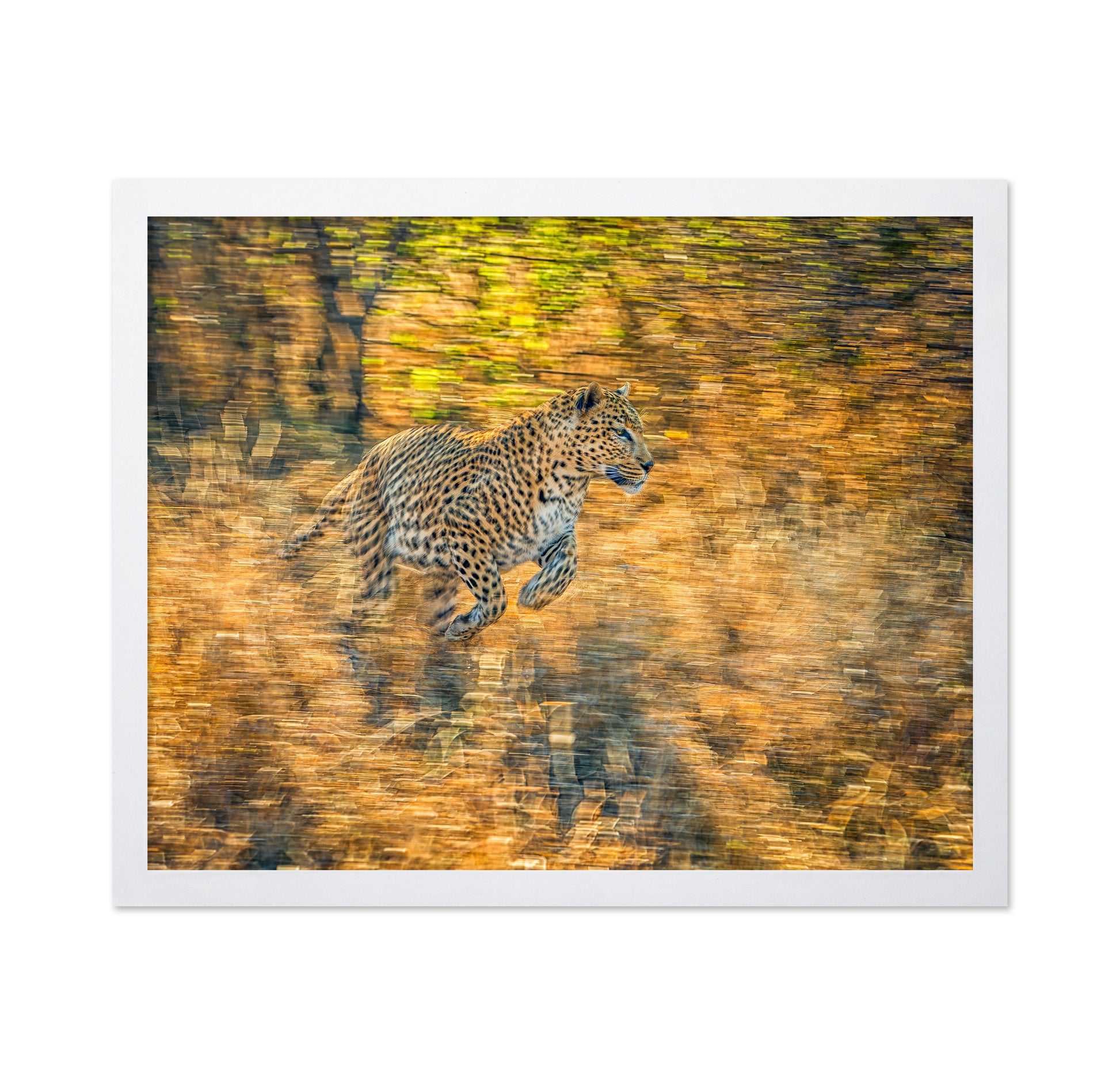 The Run