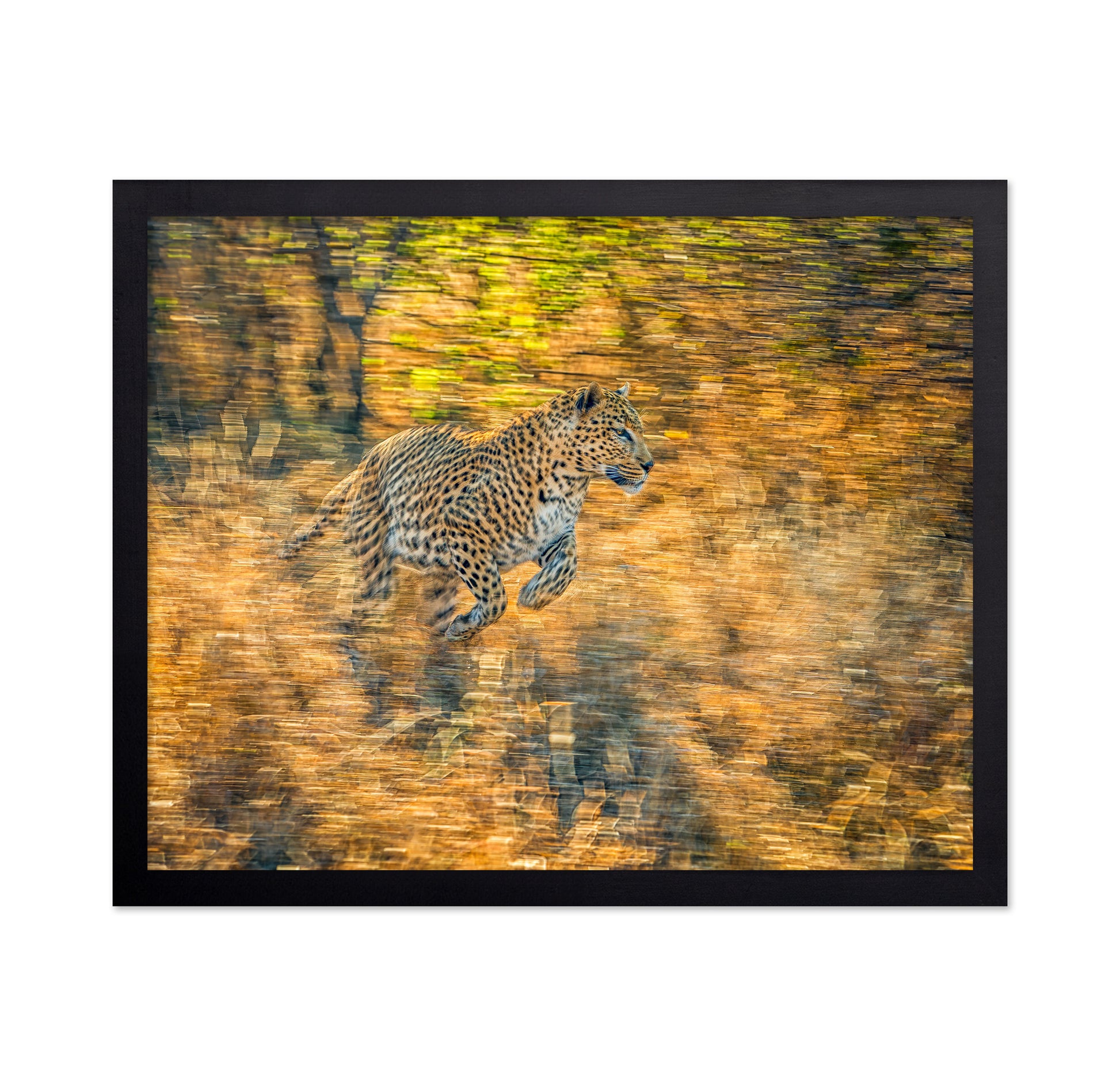 The Run