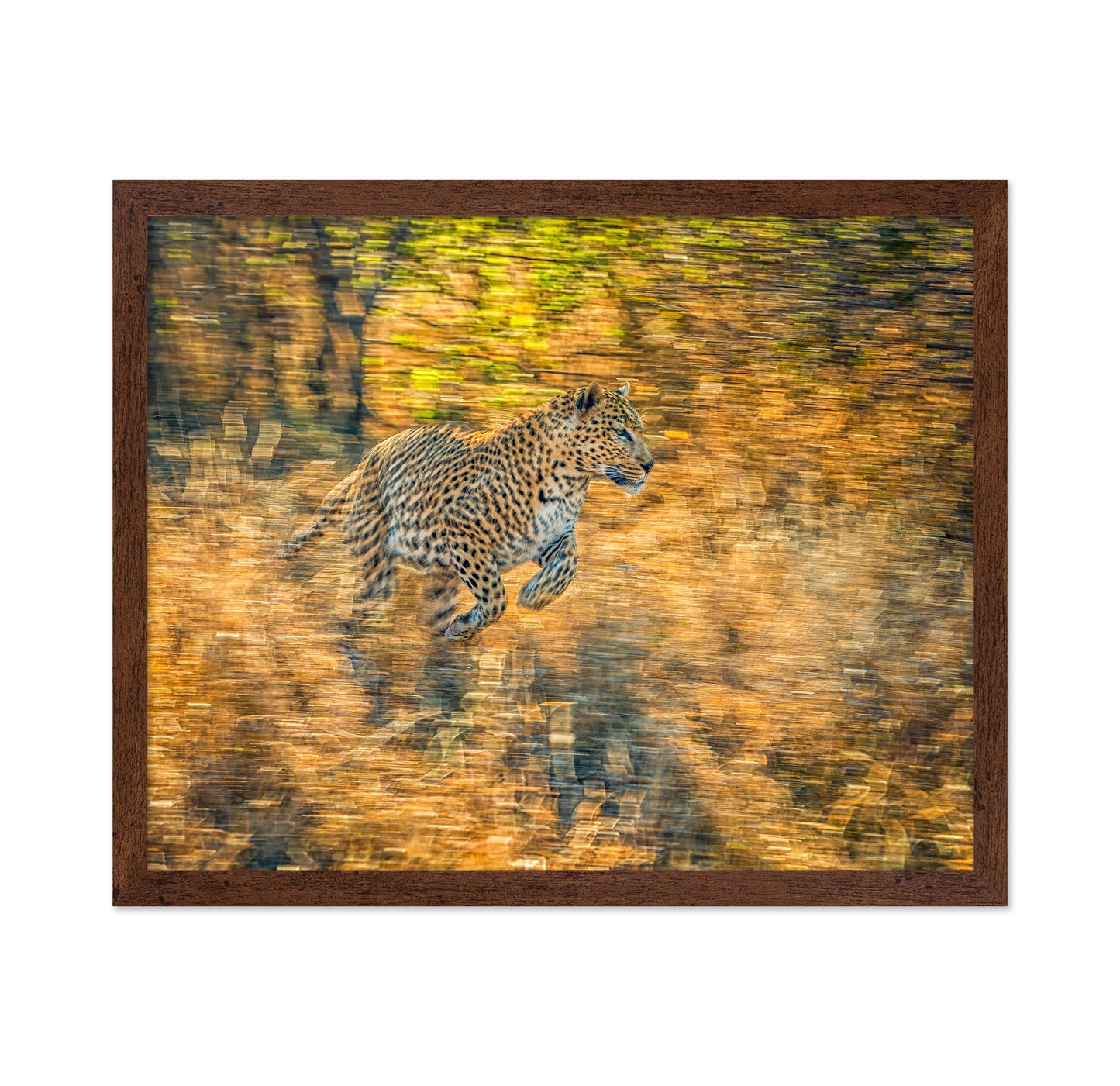 The Run
