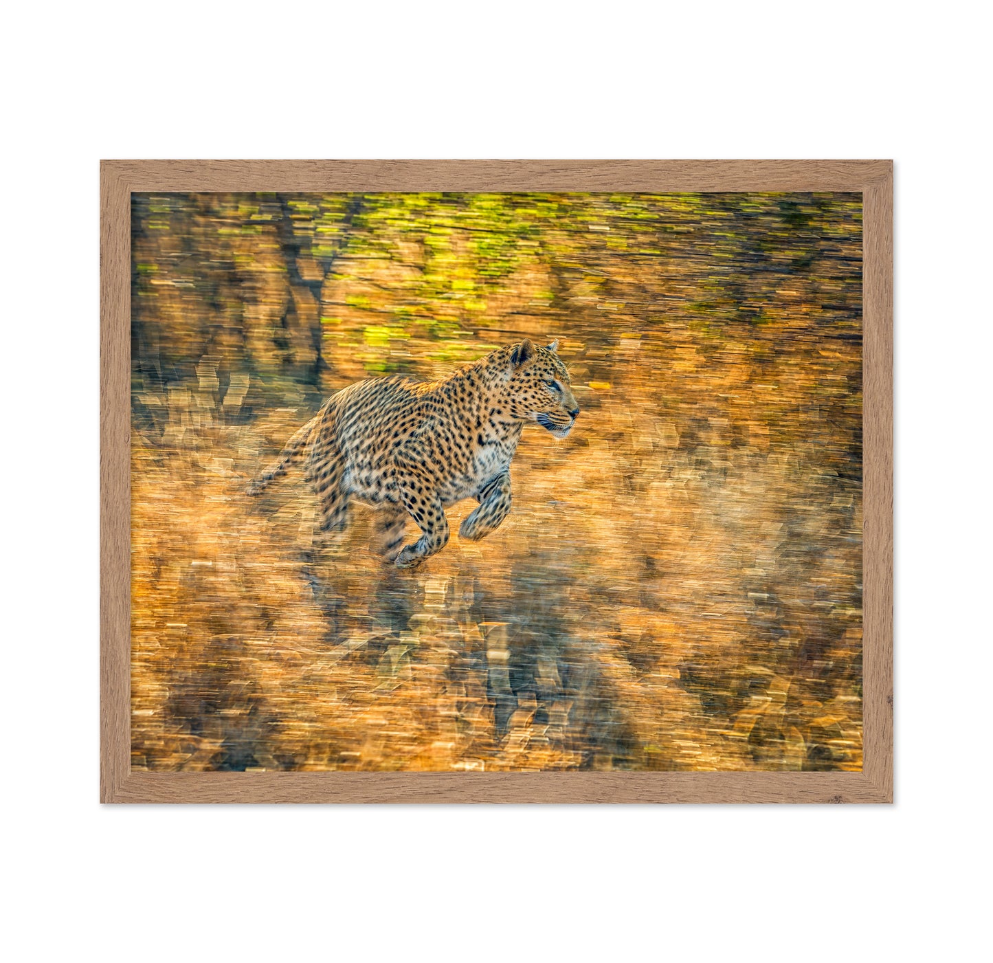 The Run