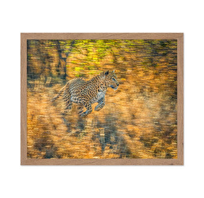 The Run