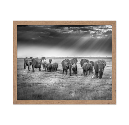 Breakfast with Pachyderms