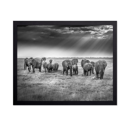 Breakfast with Pachyderms