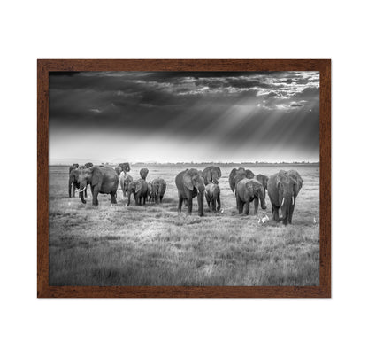 Breakfast with Pachyderms