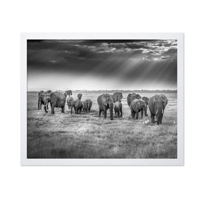 Breakfast with Pachyderms