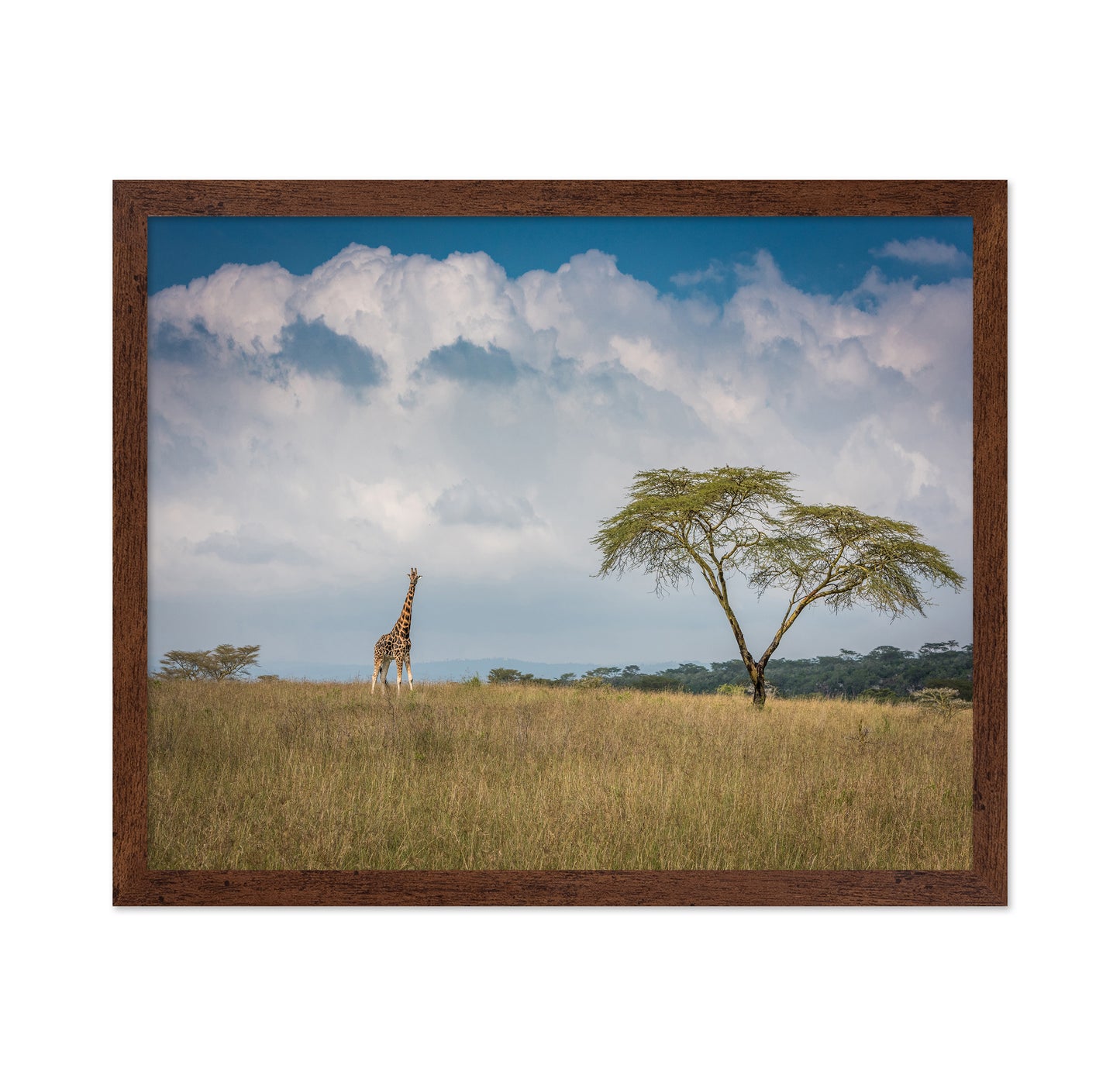 East Africa
