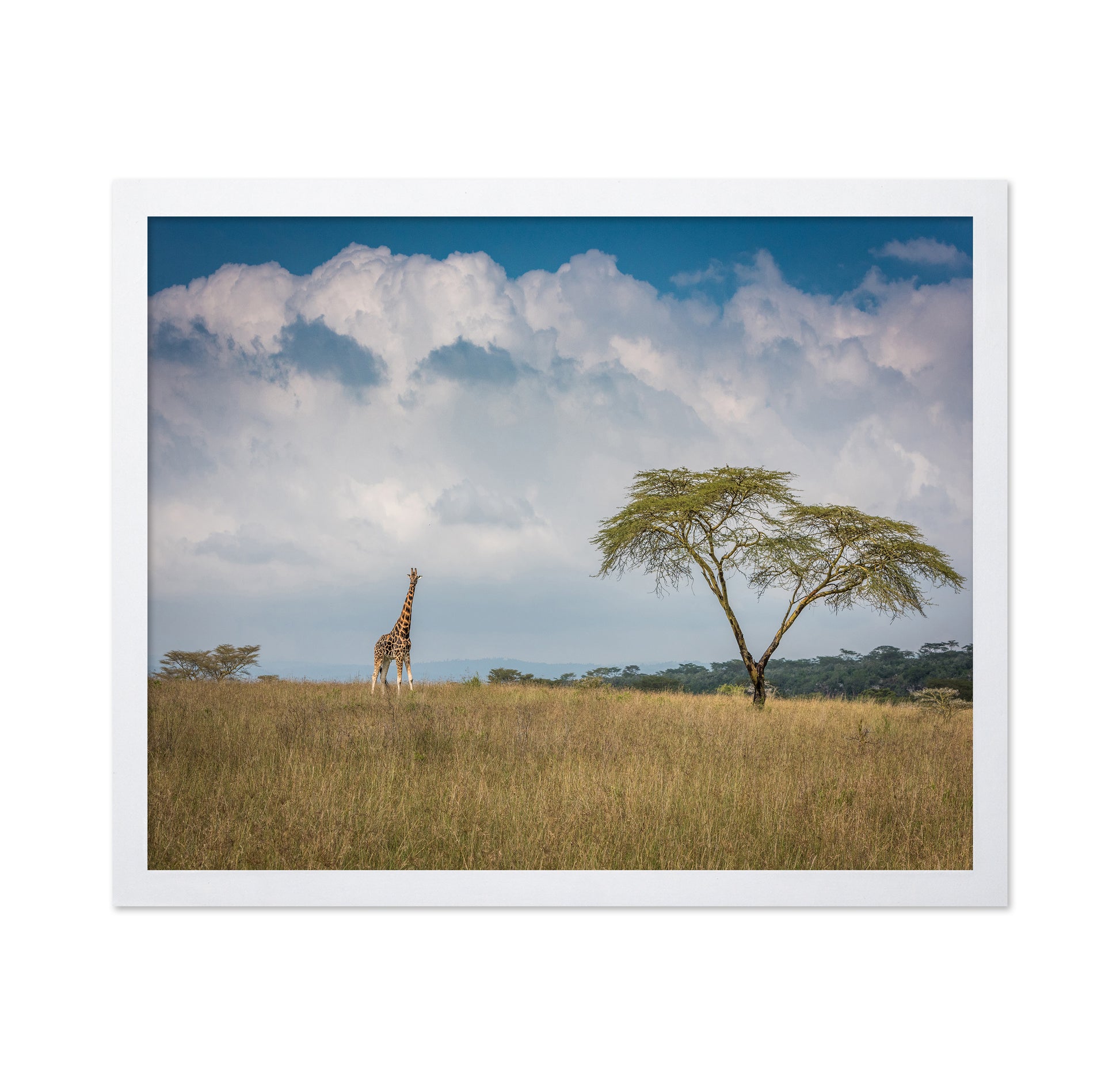 East Africa