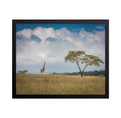 East Africa
