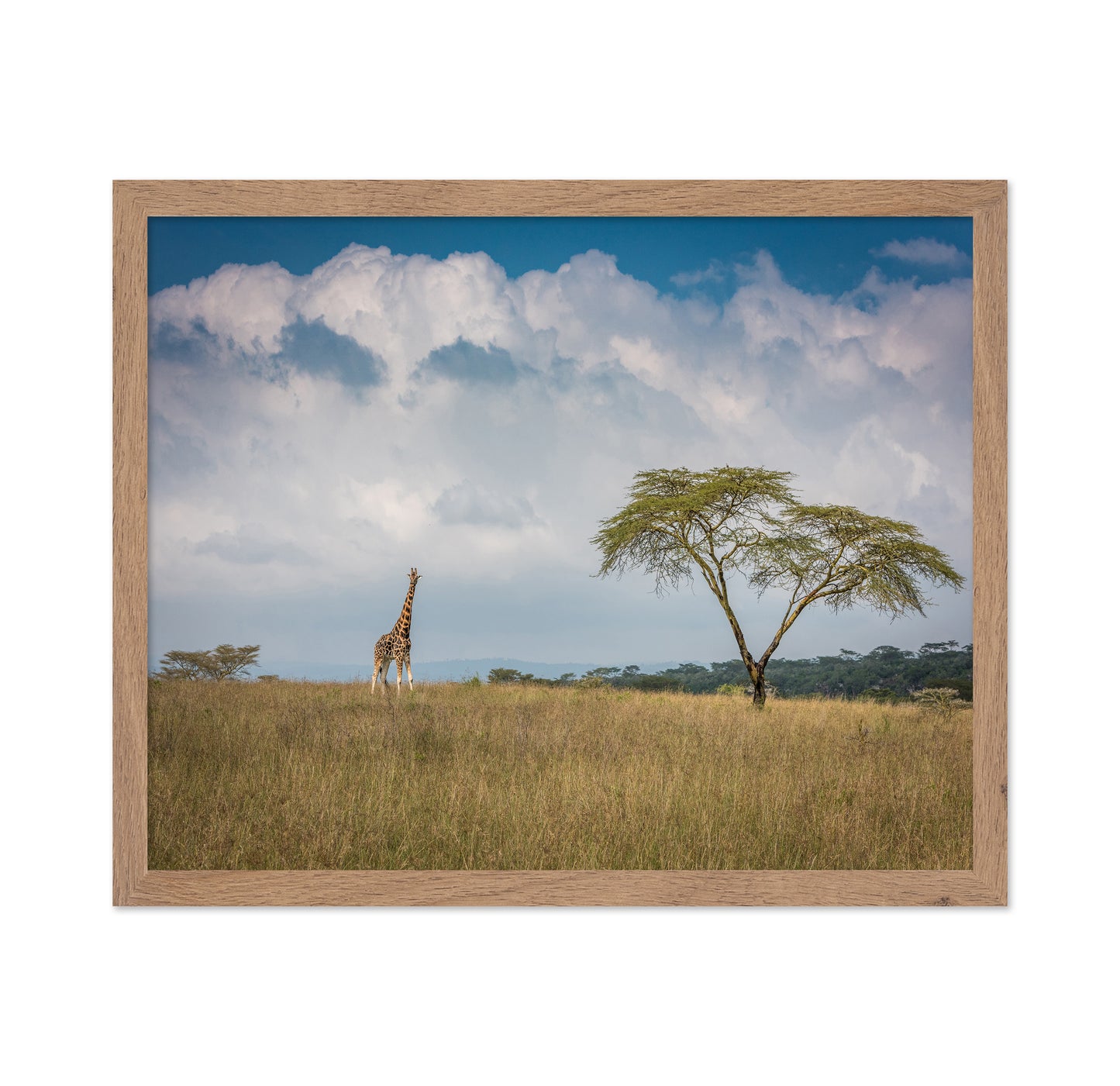 East Africa