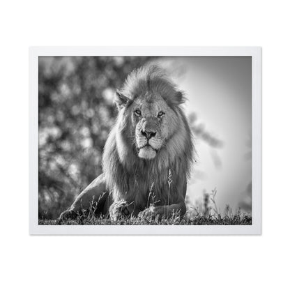 Monochromatic Lion King