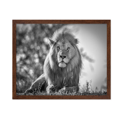 Monochromatic Lion King