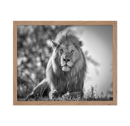 Monochromatic Lion King