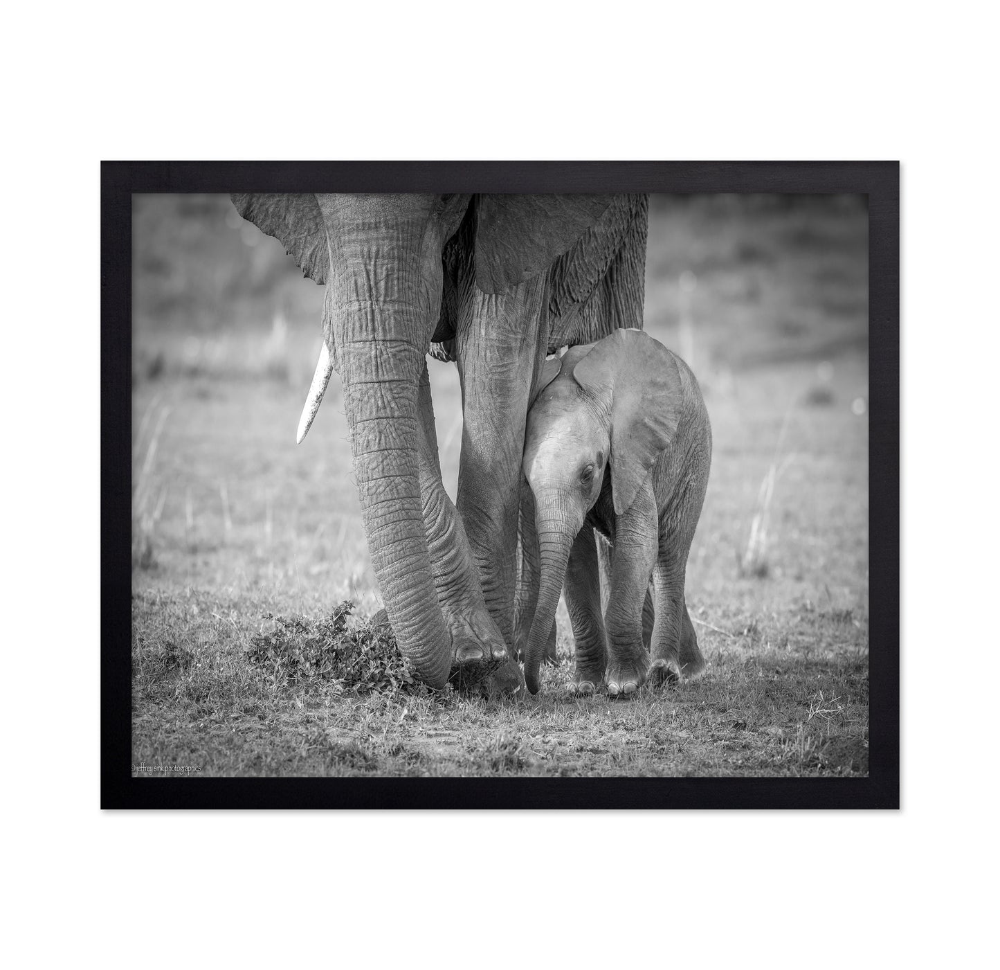 Elephant Mother and Baby
