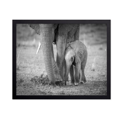 Elephant Mother and Baby