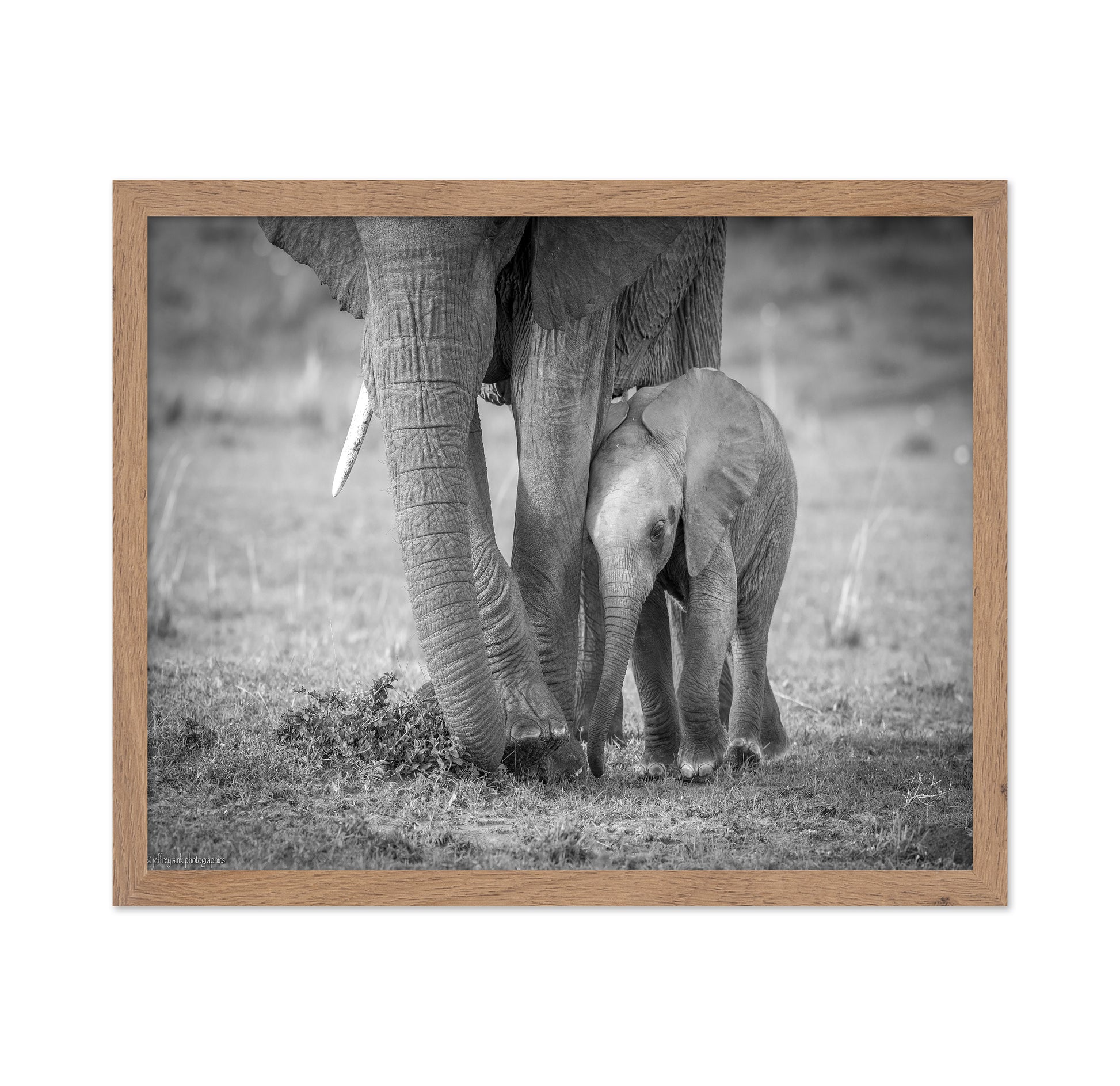 Elephant Mother and Baby