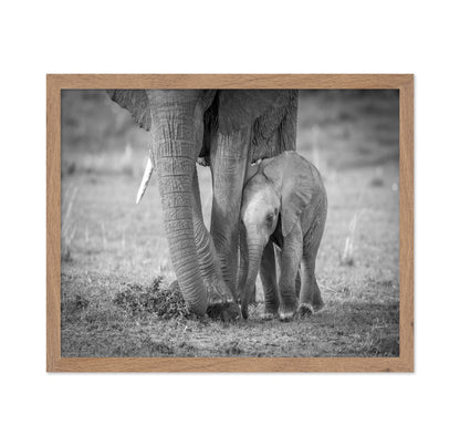 Elephant Mother and Baby