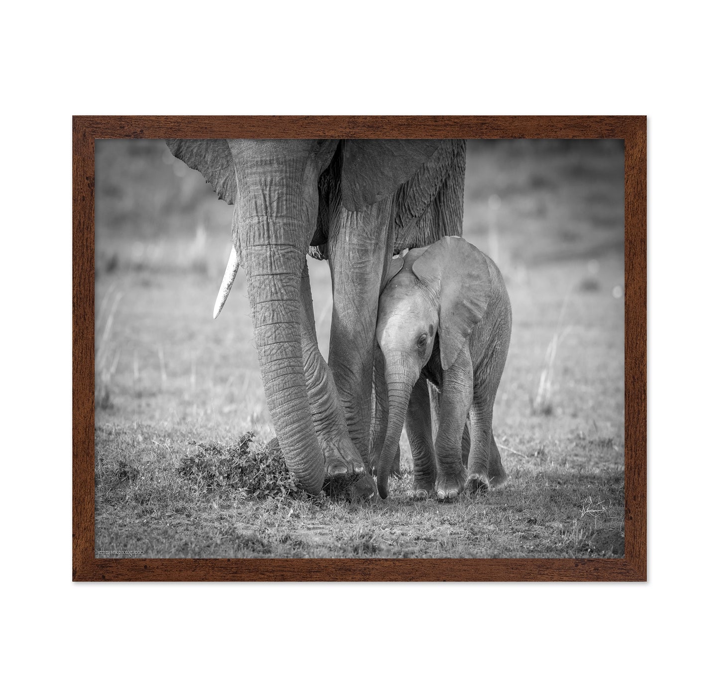 Elephant Mother and Baby