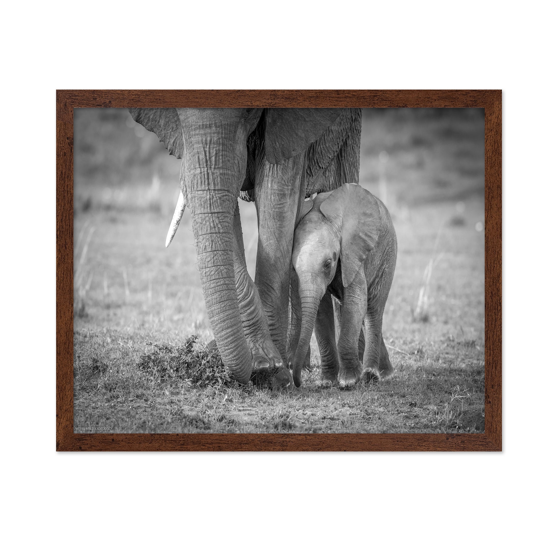 Elephant Mother and Baby