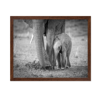 Elephant Mother and Baby