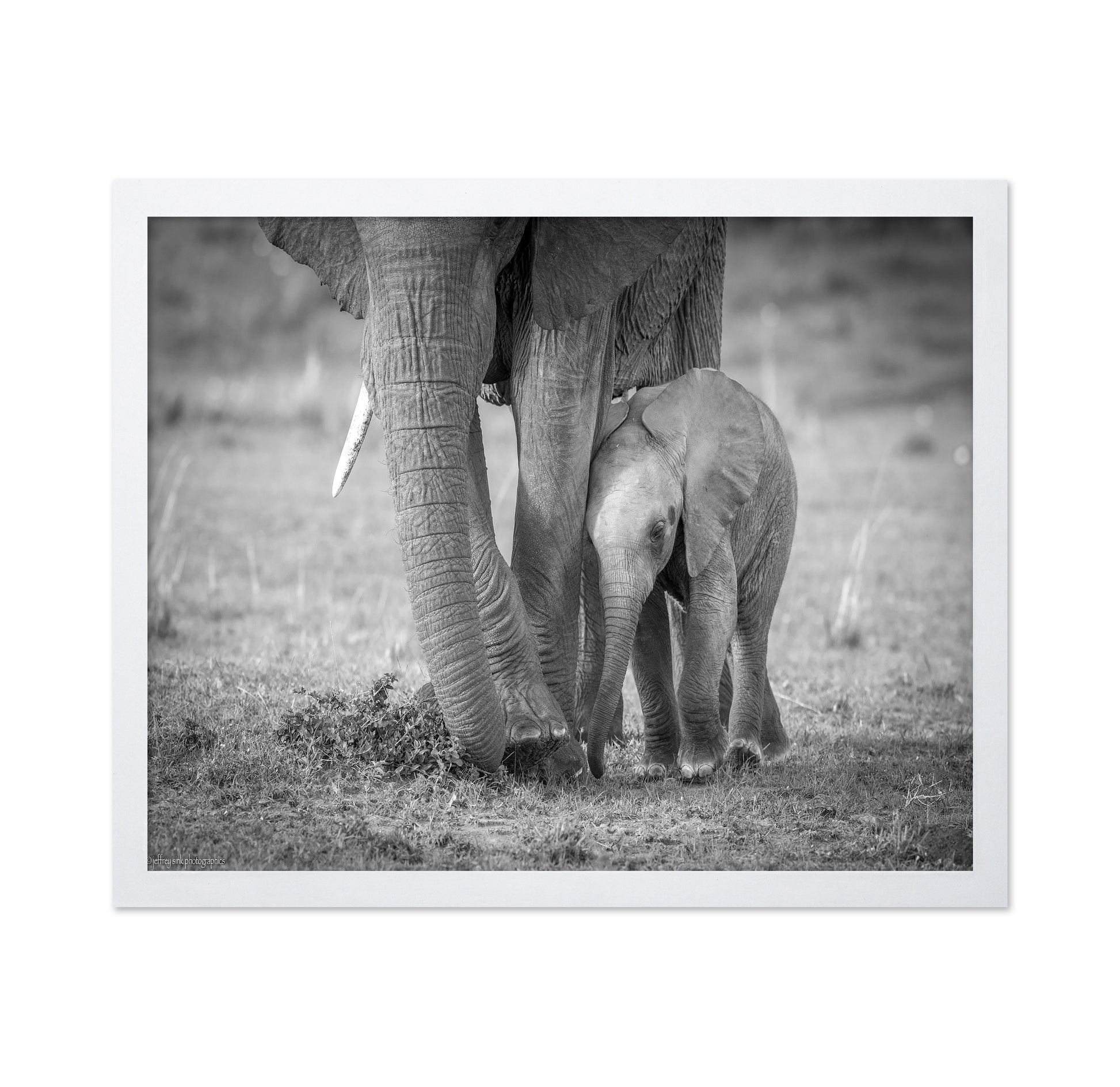 Elephant Mother and Baby