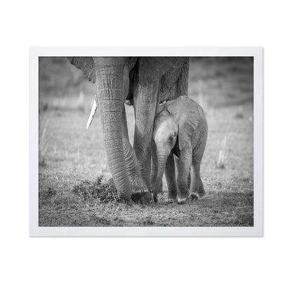 Elephant Mother and Baby