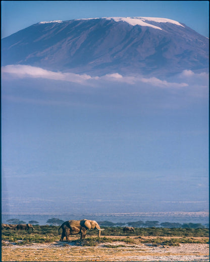Kilimanjaro and the Quiet Sentinels