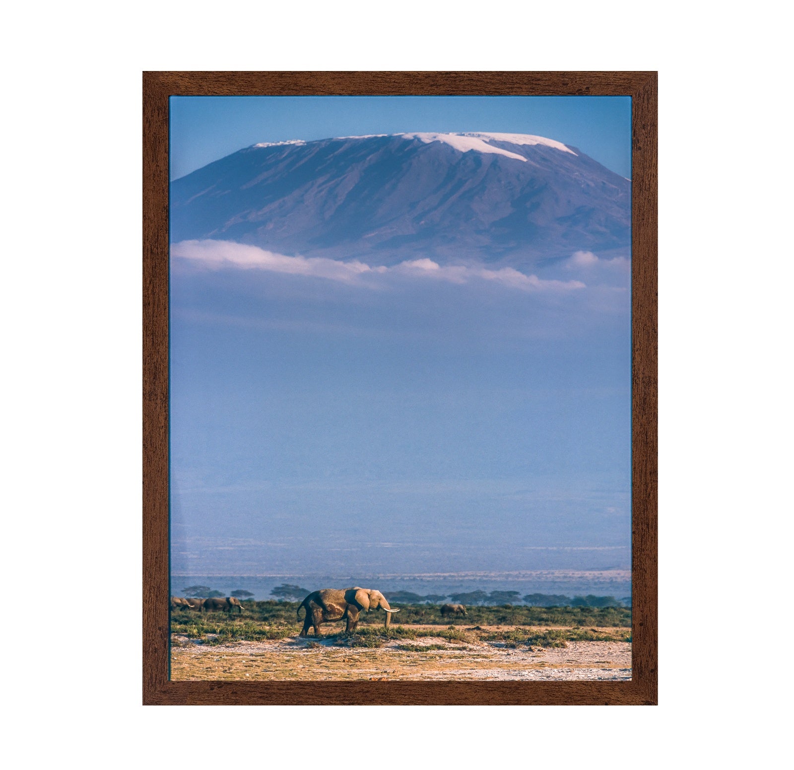 Kilimanjaro and the Quiet Sentinels