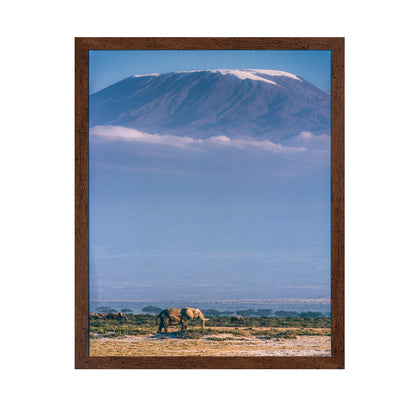 Kilimanjaro and the Quiet Sentinels