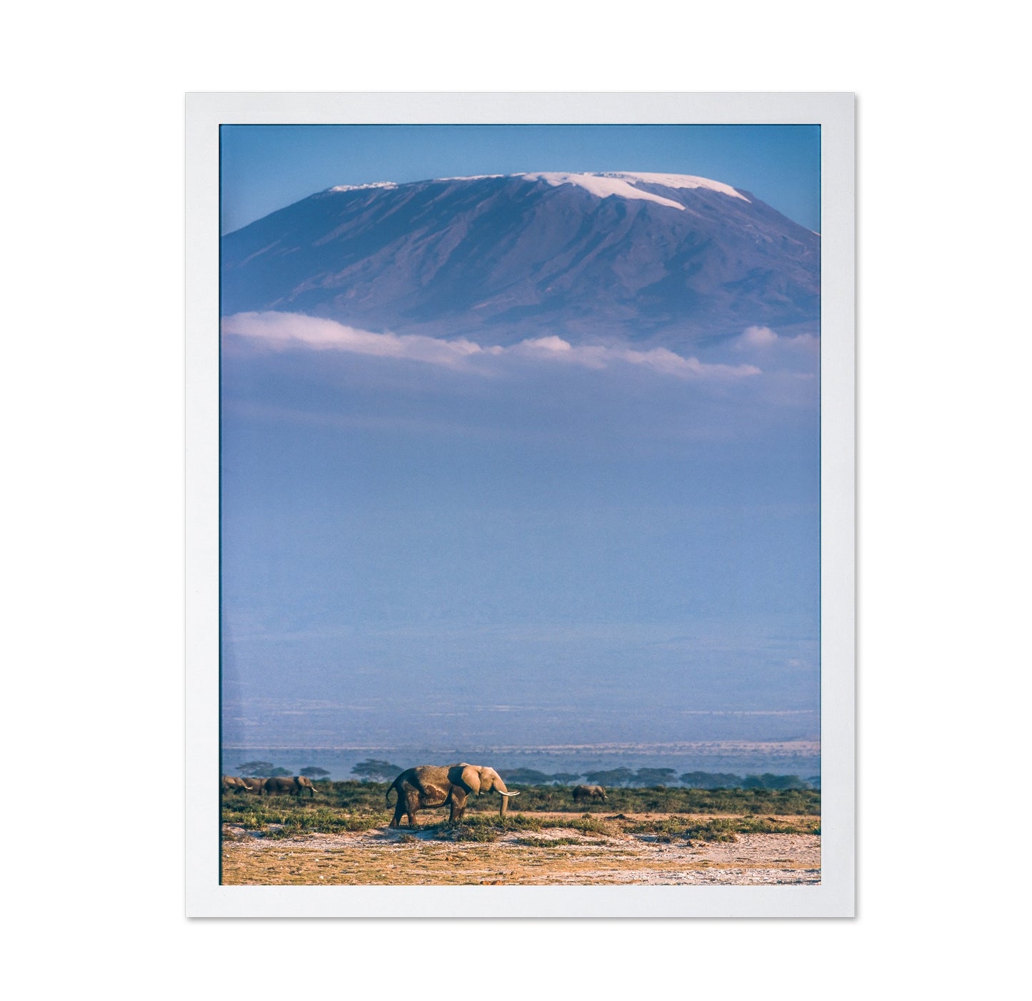Kilimanjaro and the Quiet Sentinels