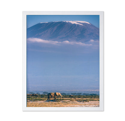 Kilimanjaro and the Quiet Sentinels
