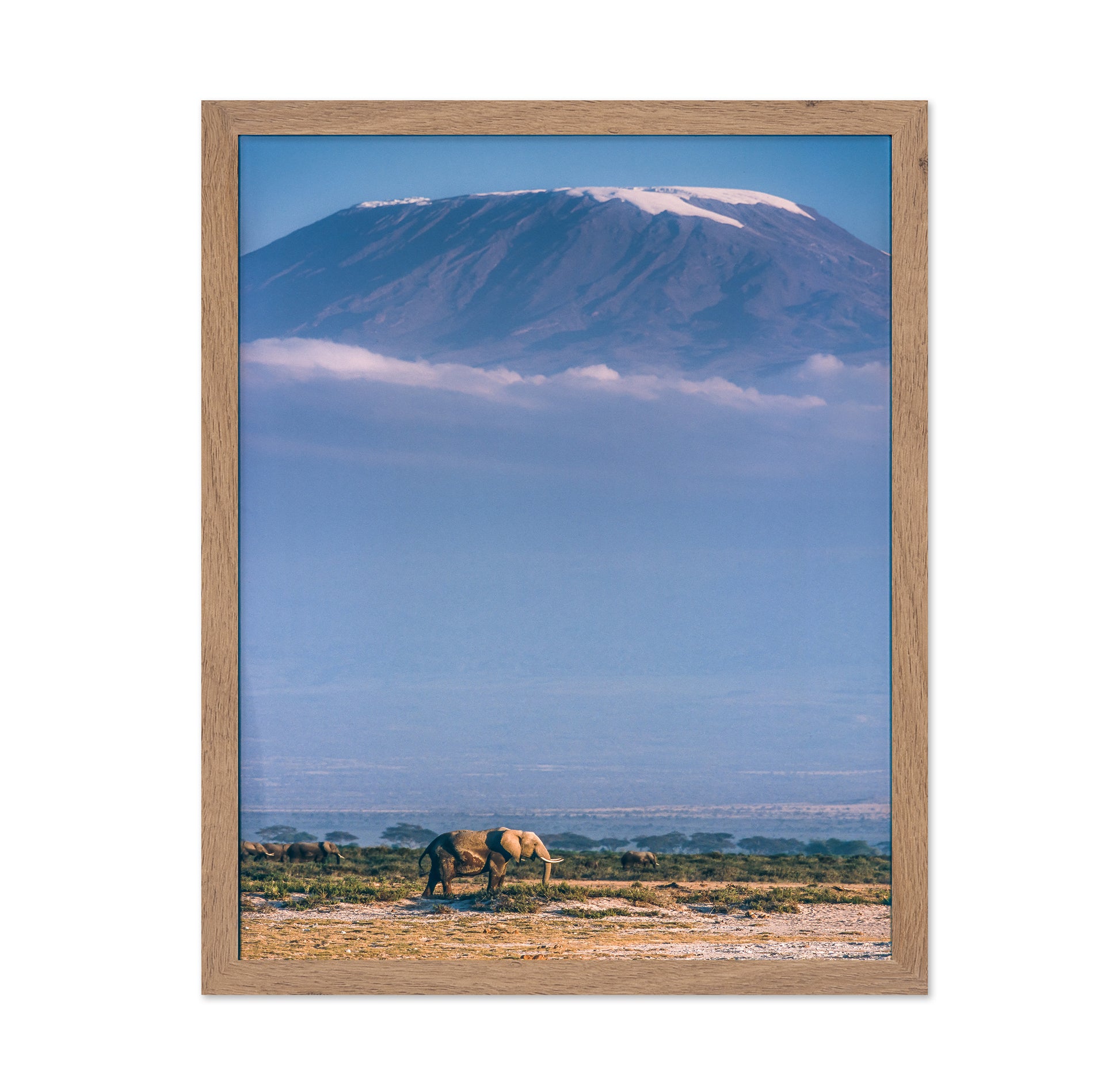 Kilimanjaro and the Quiet Sentinels