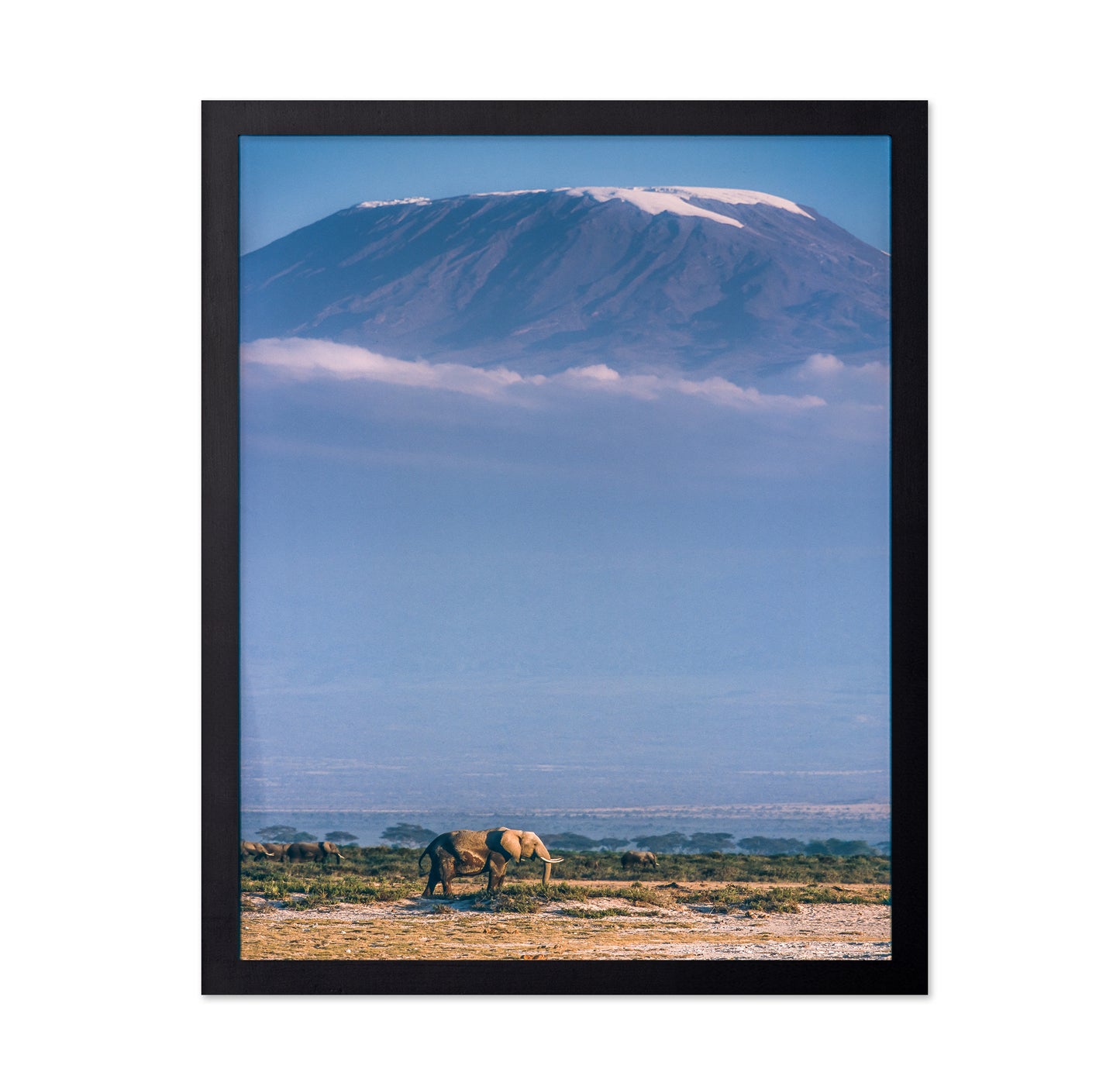 Kilimanjaro and the Quiet Sentinels