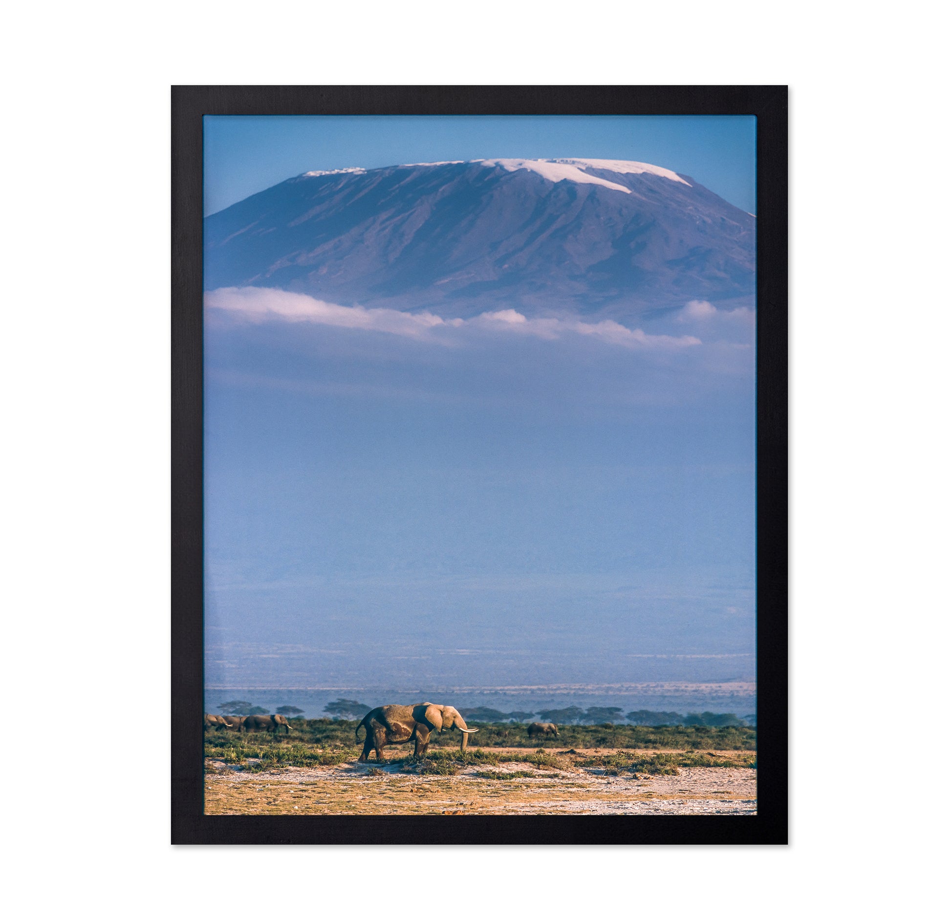 Kilimanjaro and the Quiet Sentinels