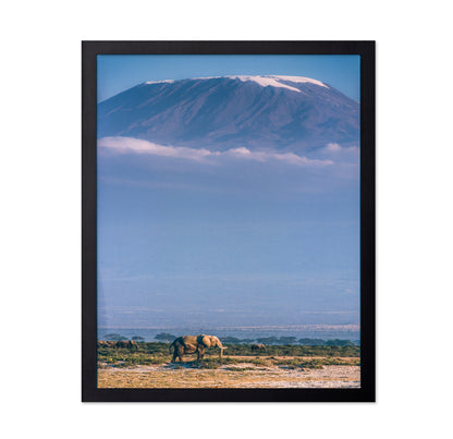 Kilimanjaro and the Quiet Sentinels