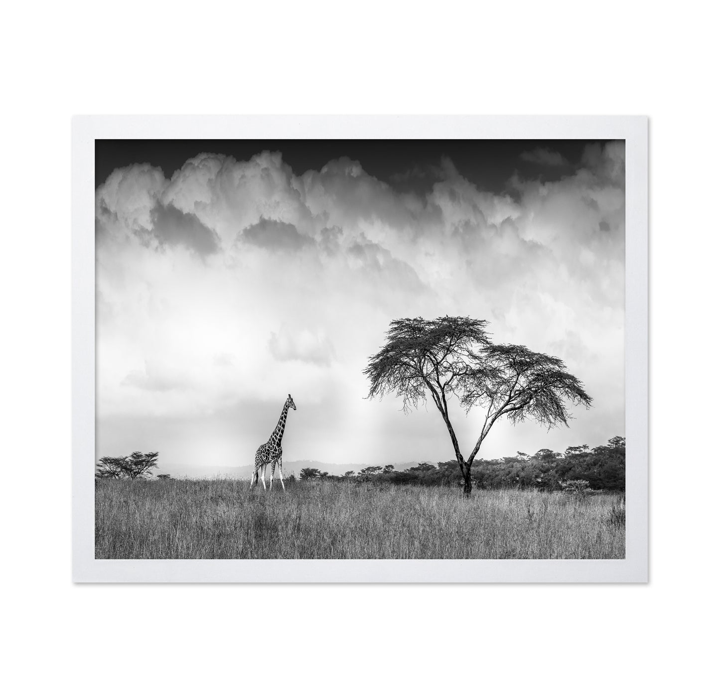 And I Dreamed Of Africa