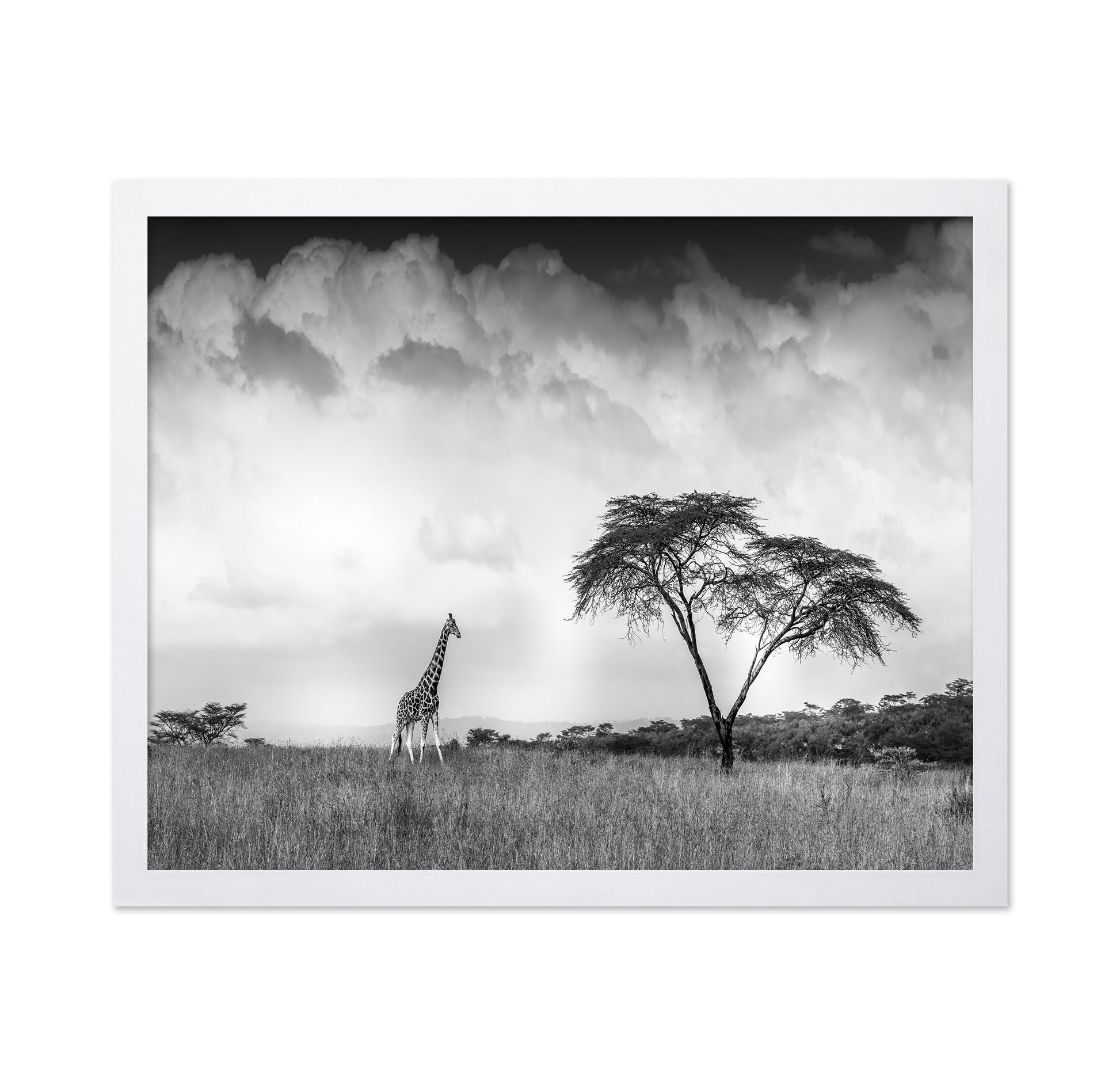 And I Dreamed Of Africa