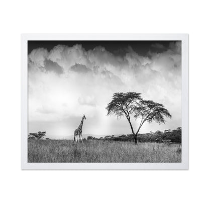 And I Dreamed Of Africa
