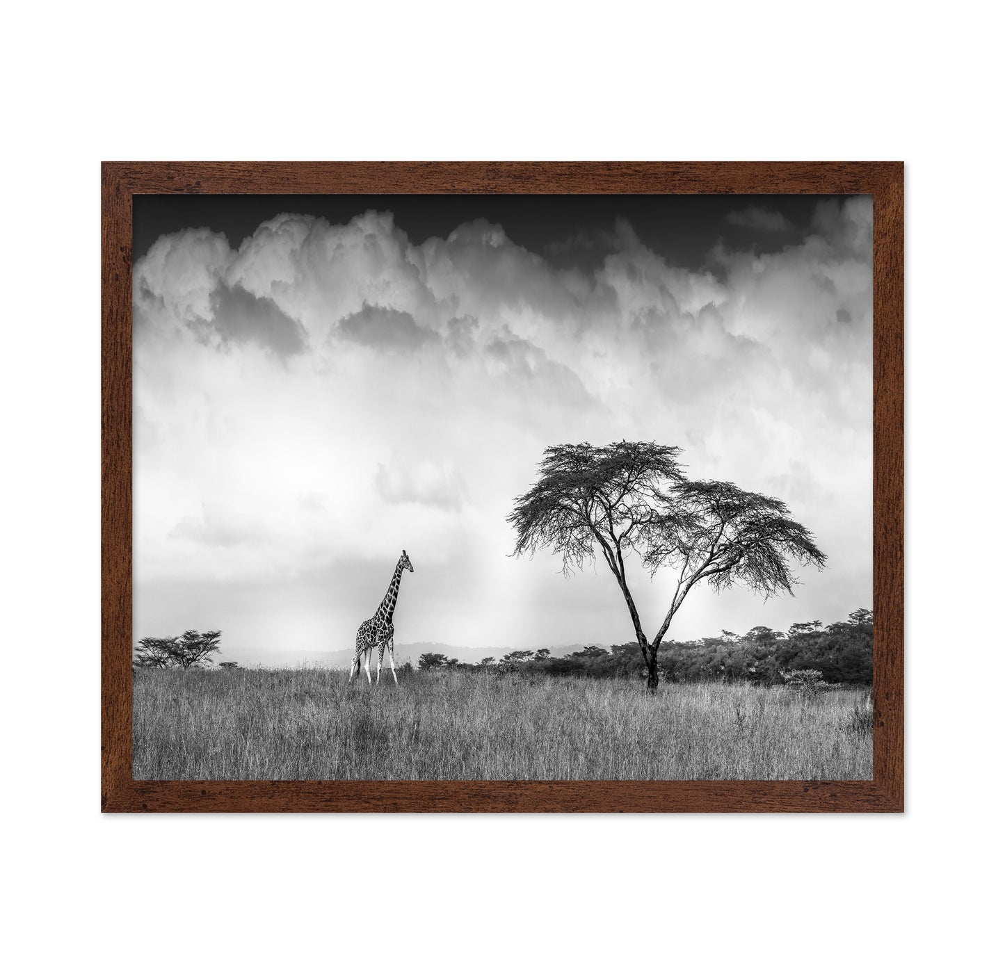 And I Dreamed Of Africa