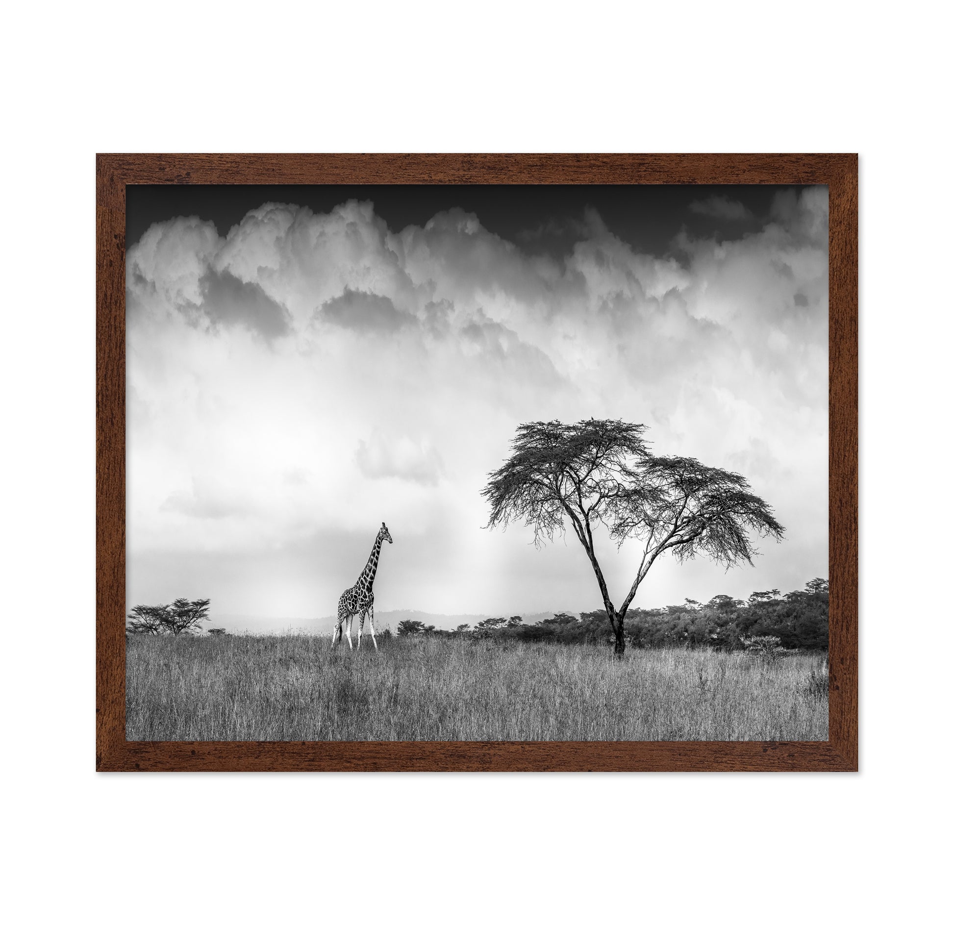And I Dreamed Of Africa