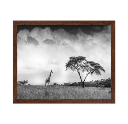 And I Dreamed Of Africa