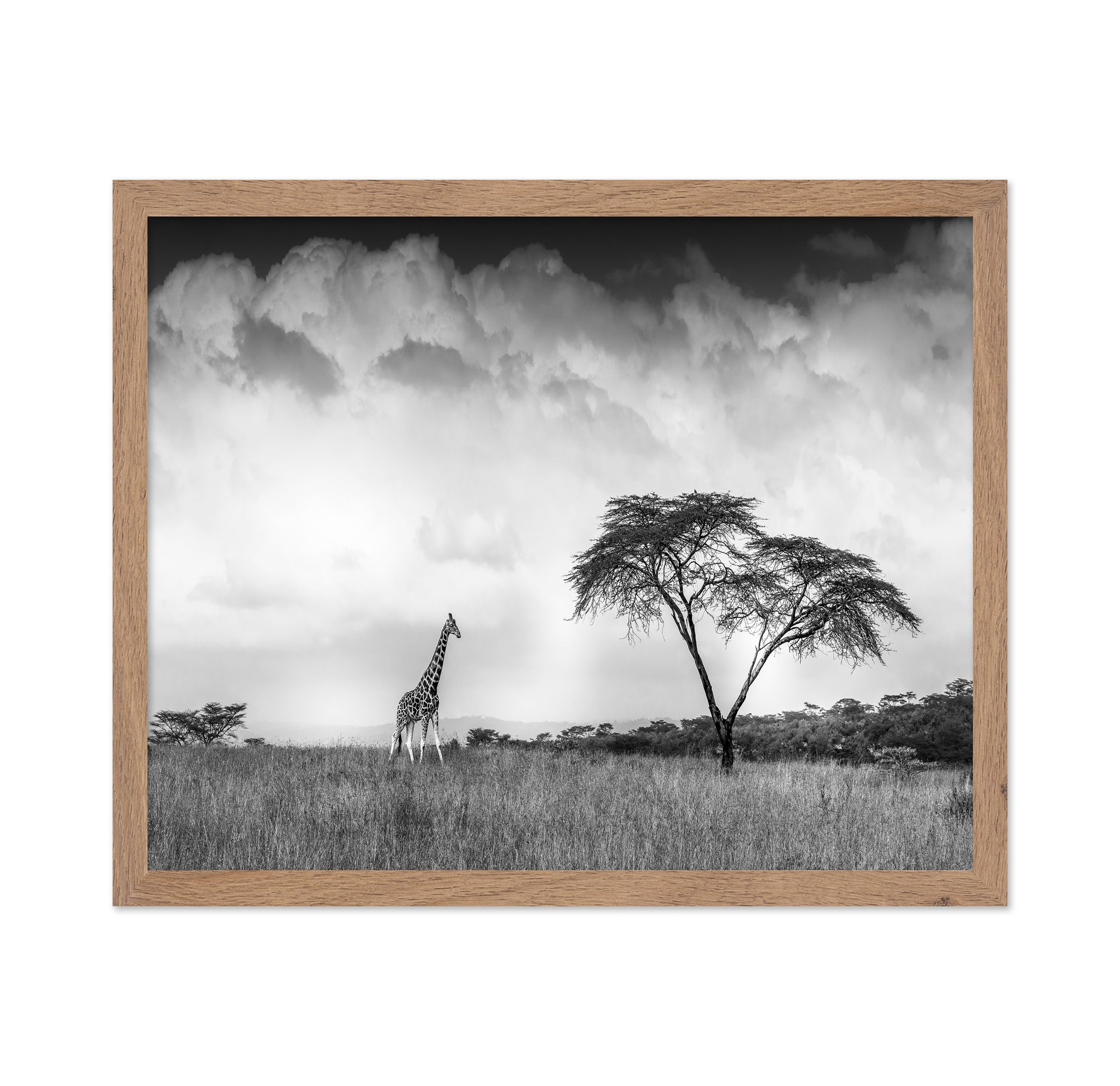 And I Dreamed Of Africa