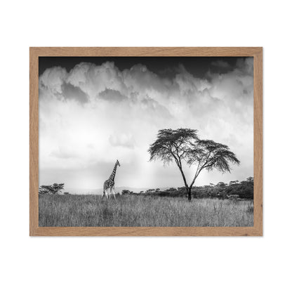 And I Dreamed Of Africa